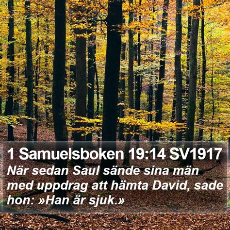 Samuelsboken Sv N R Sedan Saul S Nde Sina M N Med Uppdrag Att