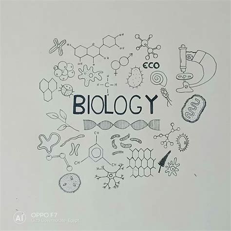 Biologie Deckblatt Aesthetic