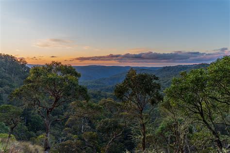 Dorrigo And Surrounds Peter Abery