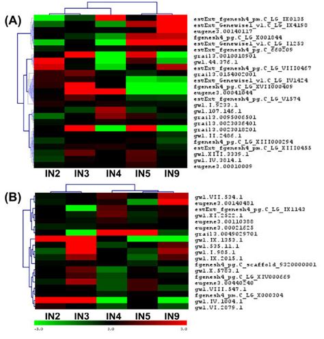 Clustering And Identities Of Expansin A And Extensin B Gene