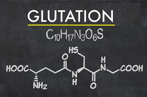 Glutation: qué es y sus principales utilidades