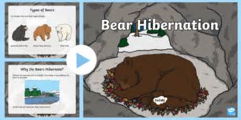 Primary Bear Hibernation PowerPoint (teacher made)