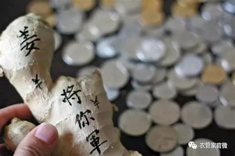 “蒜你狠”、“豆你玩”、“姜你军”，农产品卖得好，你得知道这个理论 搜狐大视野 搜狐新闻