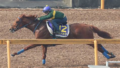 ＜高松宮記念1週前追い＞武藤を背に追い切るノボバカラ ― スポニチ Sponichi Annex ギャンブル