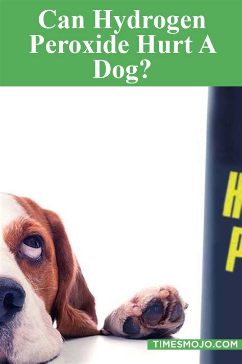 Can hydrogen peroxide hurt a dog? - TimesMojo