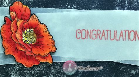 Congratulations Stamping Fairies Der Blog