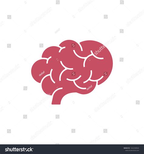 Flat Brain Icon Symbol Sign Logo Vector De Stock Libre De Regalías