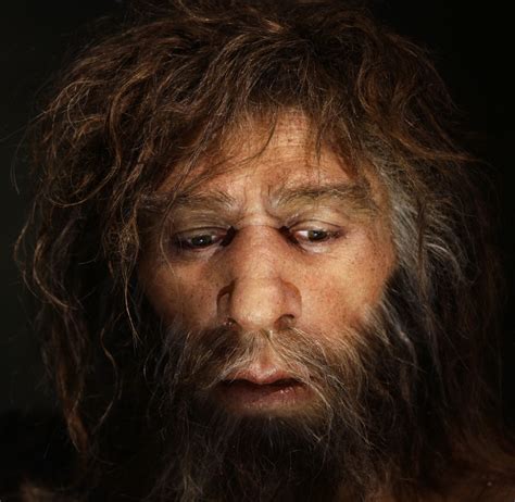 45 000 Year Old Siberian Mans Genome Pinpoints When Neanderthals And