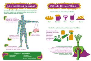 Infografia Los Microbios Y Su Relacion Con La Ecologia