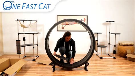 10 Best Diy Cat Wheel Plans Make A Cat Exercise Wheel