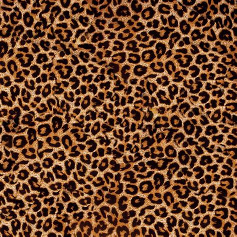 12 X 12 Cheetah Decal Vinyl Animal Print Trendy - Etsy
