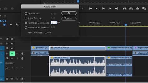 How To Normalize Audio With Premiere Pro In Easy Steps