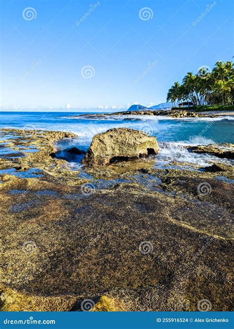 Secret Beach Oahu Island Hawaii Stock Photo - Image of horizon, sand