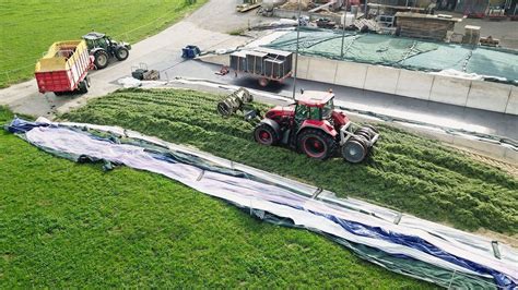 Tagebuch Auf Der St Ckweid Wird Ges T Und Weiterhin Geerntet