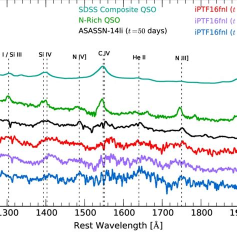 Comparison Of The HST STIS Spectral Evolution Of IPTF16fnl Colored