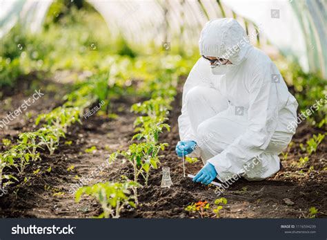 Scientist Microbiologist Adds Fertilizer Soil Concept Stock Photo 1116594239 | Shutterstock