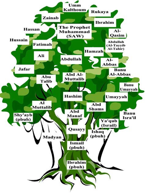 12 Imams Family Tree