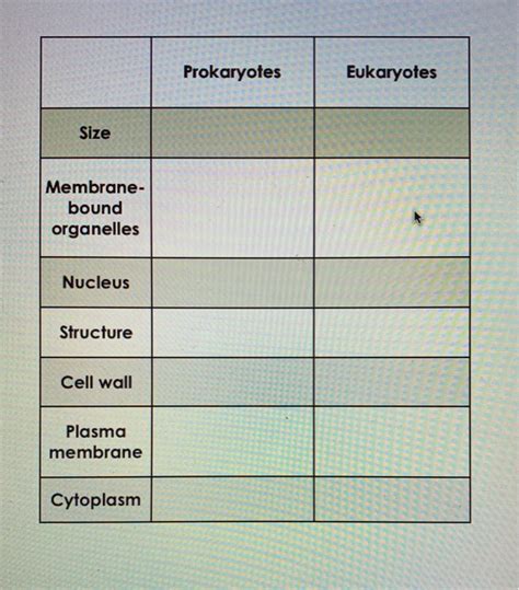 Solved Prokaryotes O Eukaryotes C Size Membrane Bound Chegg