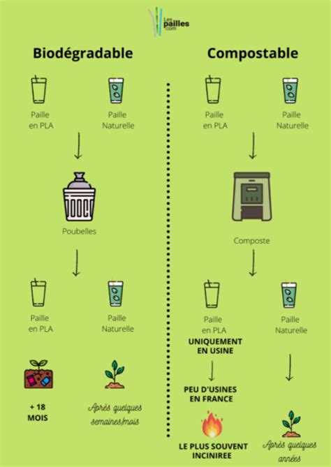 Biodégradable Vs Compostable Quelles Différences