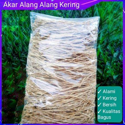 Jual Akar Alang Alang Kering Gr Shopee Indonesia