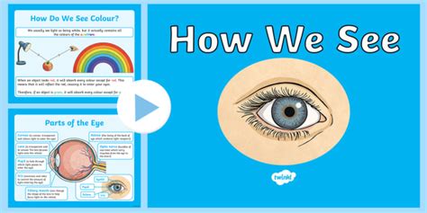 Human Eye Information Learning And Teaching Resource