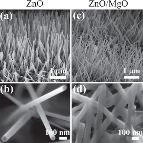 Sem Images With Different Magnifications Of A Zno Nw Sample A B And