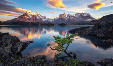 rocks lake peho patagonia trees torres del paine national park