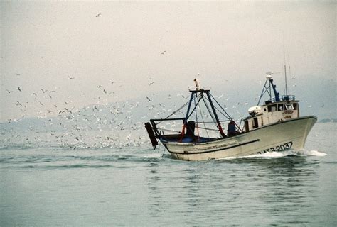 El Ministerio Ultima La Nueva Ley De Pesca Sostenible Iberland