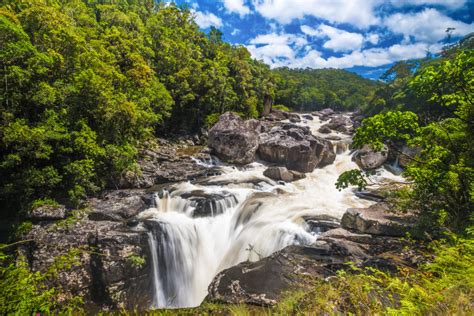 Las Selvas Y Bosques Tropicales M S Incre Bles Del Mundo