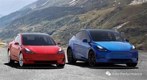 特斯拉 Model Y 全揭秘 新出行