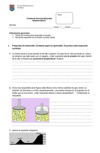 Prueba De Los Gases PDF