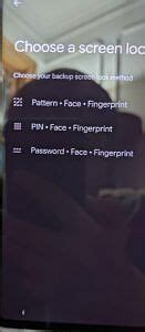 Pixel Pro User Spots Face Unlock Feature During Initial Setup