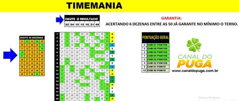 Planilha Timemania Fechamento 50 Dezenas Em 38 Jogos CANAL DO PUGA