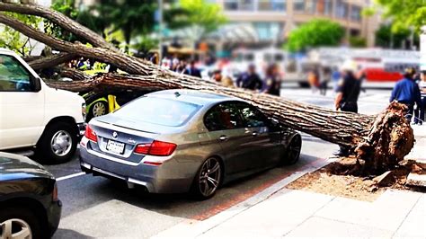 Tree Falling On A Car