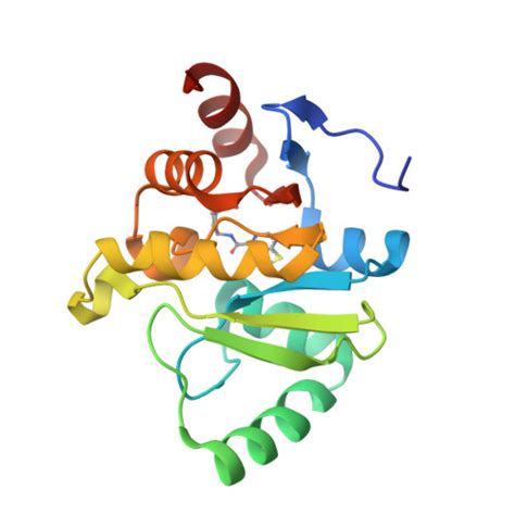 RCSB PDB 5SSK PanDDA Analysis Group Deposition Crystal Structure