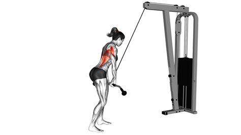 Cable Straight Arm Pulldown Version 2 Female Guide And Tips