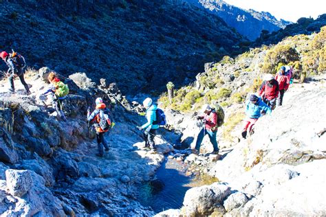 6 Days Rongai Route Climbing Tanzania Joy Tours I Kilimanjaro Climb I