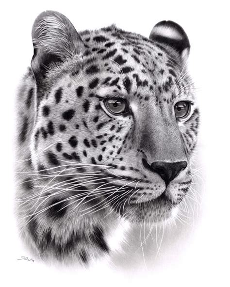 Schu on Instagram: “Portrait of a leopard - pencil drawing #art # ...