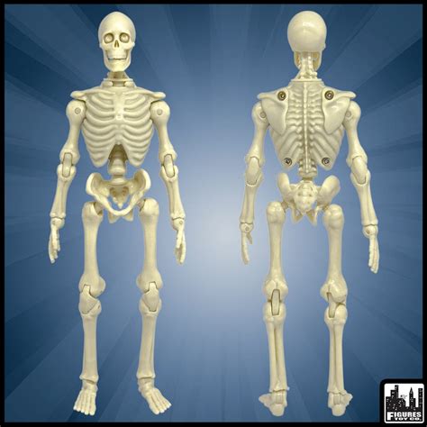 Super Articulated 8 Inch Skeleton Action Figure - Figures Toy Company