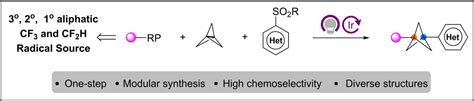 A General And Practical Route To Functionalized Bicyclo Pentane