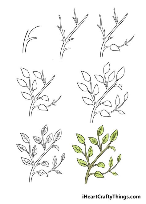 How To Draw Leaves On A Tree Step By Step Guide