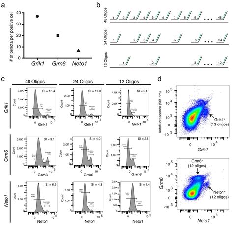 Figures And Data In Probe Seq Enables Transcriptional Profiling Of