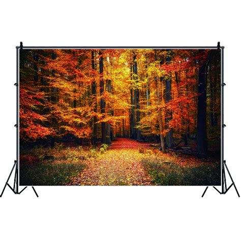 Laeacco X Ft Vinyl Photography Backdrop Autumn Forest Yellow Fall