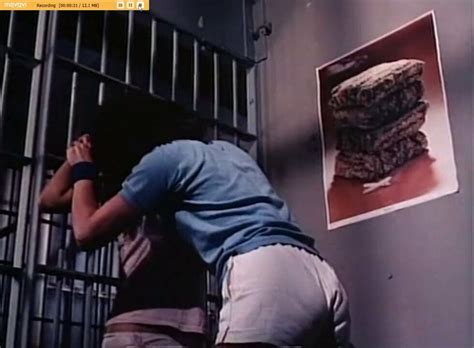 Alley Cat 2 1984 Story Nylon Porn XHamster