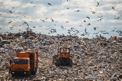 What Happens to Trash at a Landfill — Waste Away Systems