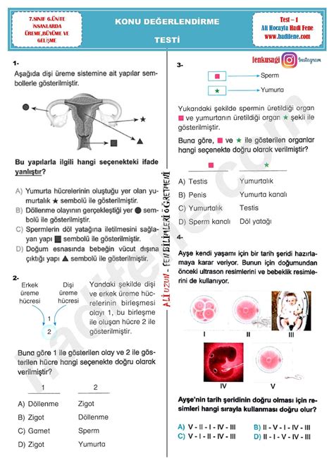 6 ÜNİTE İNSANLARDA ÜREME BÜYÜME VE GELİŞME Hadi Fene Fen Eğitim Merkezi