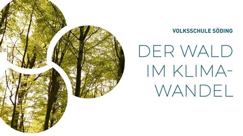 Volksschule Söding Der Wald im Klimawandel Klimakonferenz YouTube