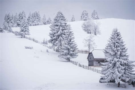 Bran Area in Winter - Romania Photo Tours