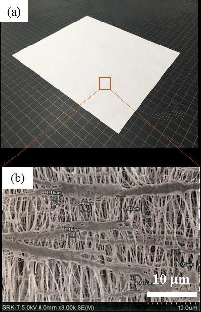 Ptfe Membranes A Overall Photo And B Scanning Electron Microscope