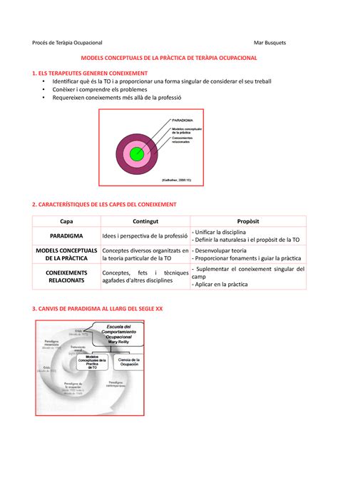 6 Models Conceptuals en la pràctica de la Teràpia Ocupacional Procés